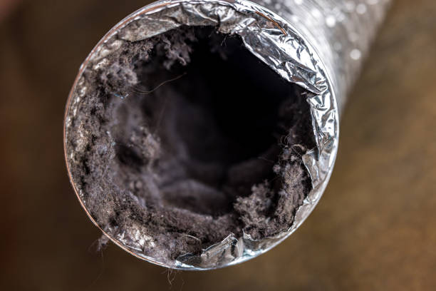 Air Duct Mold Removal in Lake Meade, PA